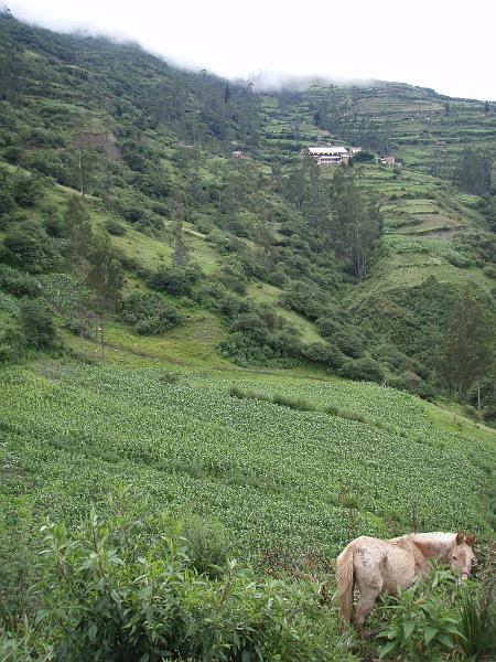 Illampu Trek (111).JPG